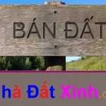 Lô đất 2 mặt hẻm 4m.”sổ hồng riêng” bao xây dựng” gần phần mền Quang Trung. DT 4×13. Giá 780 triệu