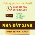 BANNER-NHADATXINH