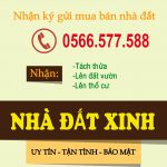 BANNER-NHADATXINH