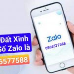 banner-nhadatxinh-1