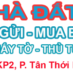 banner-top-nhadatxinh
