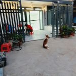 Nhà 1 lầu, Hẻm 3,5m xe hơi đỗ cửa, 300m ra chợ Hiệp Thành, quận 12, tp.HCM